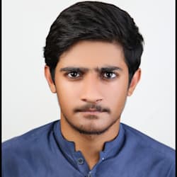 shahzadali813