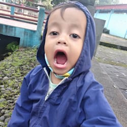 nay_13