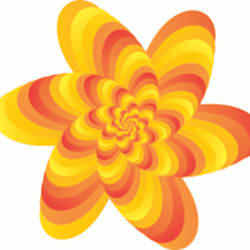 hadia221