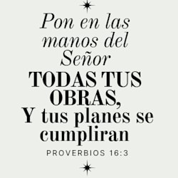 canvadesignsmx