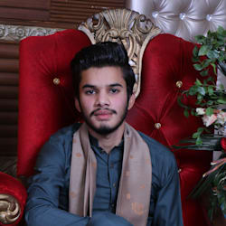 alich2926