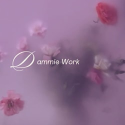 dammiework