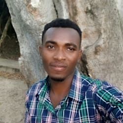 edwinharo