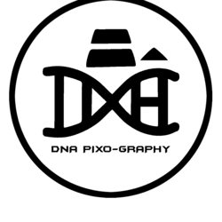 dnapixography