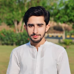 gulfamhashmi01