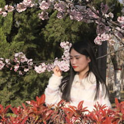 zhizhiguo