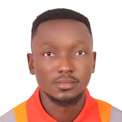 bismarkvirtual