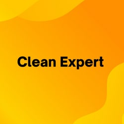 clean_expert