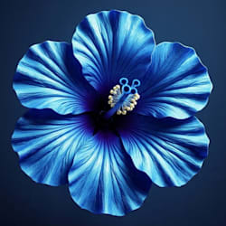 word_blueprints