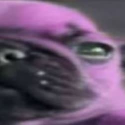 anticuchowa