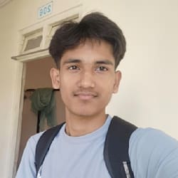 nayanmajumde343