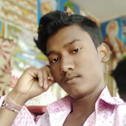 shibu_dolai