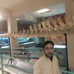 weblover105