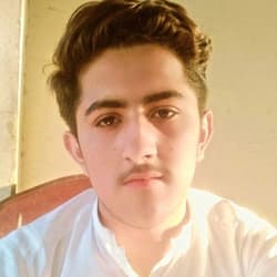 ali_raza_04