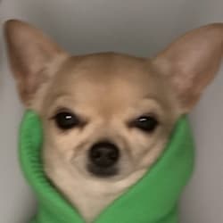 mrvexz