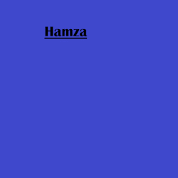 hamza_consults