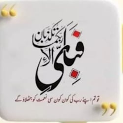 fast_urdu