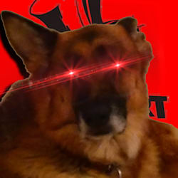 dogosupreme