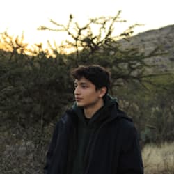 aliperezm