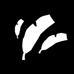 birdswithteeth_