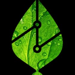 leaf_electric
