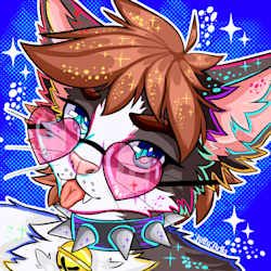 kittybella_