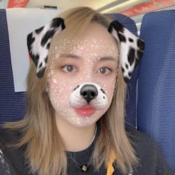 ariel_han1l
