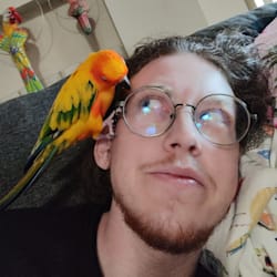 morgansweazy