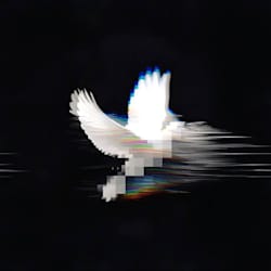 realprim3