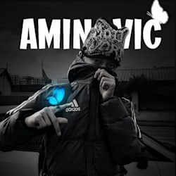 aminovic1