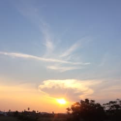 karunabudda