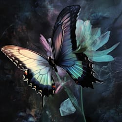 genalosys
