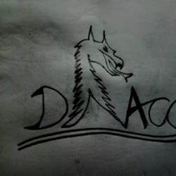 i_iram8