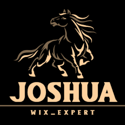 joshua_wixpro