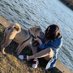 mariah_ambienta