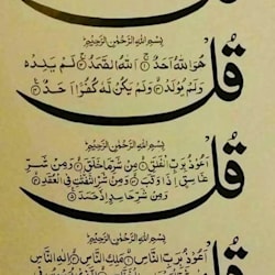 fareehahussa770