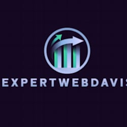 expertwebdavis