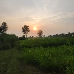 imran_expertx