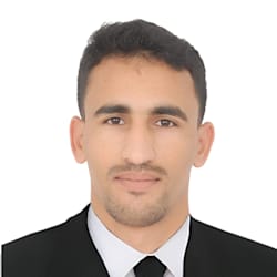 hamidalalou901