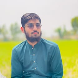 hussain1085
