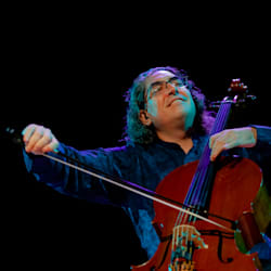 violoncelat