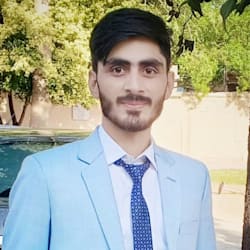 ameer_hamza72