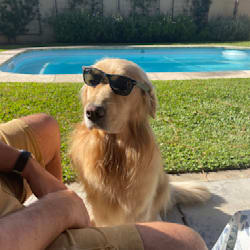 mateopereiraa