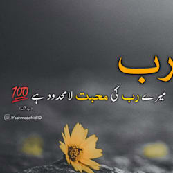 ayeshaameen876