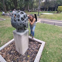 iris_bravo