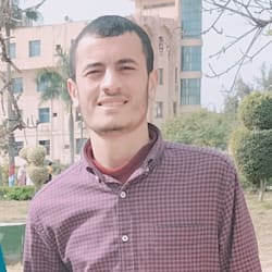 ibrahim_neweigy