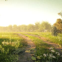 Do roblox map tycoon map roblox - Febfb225 8f56 4595 9bbc Ce13420b55f7 