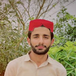 luqman2025310