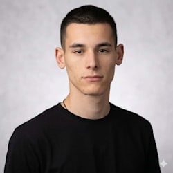 pavlesindjelic
