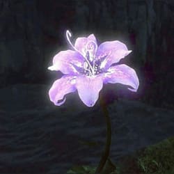 rumaisa_kh1